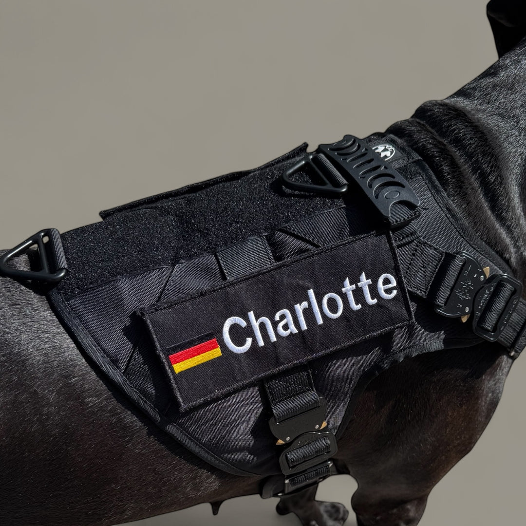 Polizeigeschirr mit Magnetgriff  mit Autrialpin Cobra und angeschrieben mit Patch