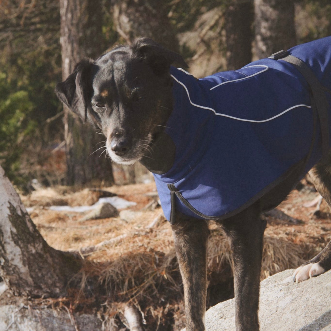 Regenmantel für kleine Hunde