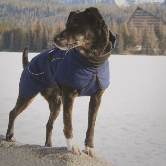 Regenmantel für kleine Hunde