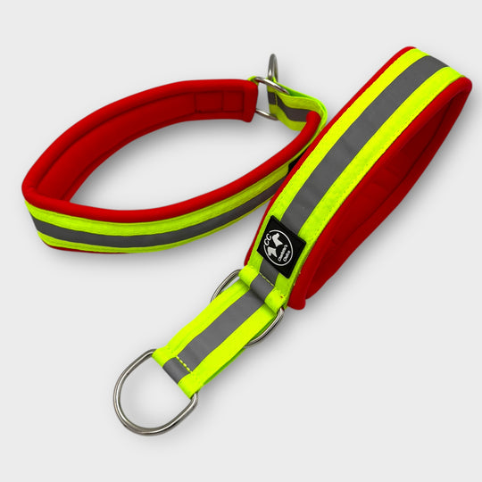 Rettungshund Halsband Reflektoren leuchtend neon gelb rot Diensthund Rotes Kreuz