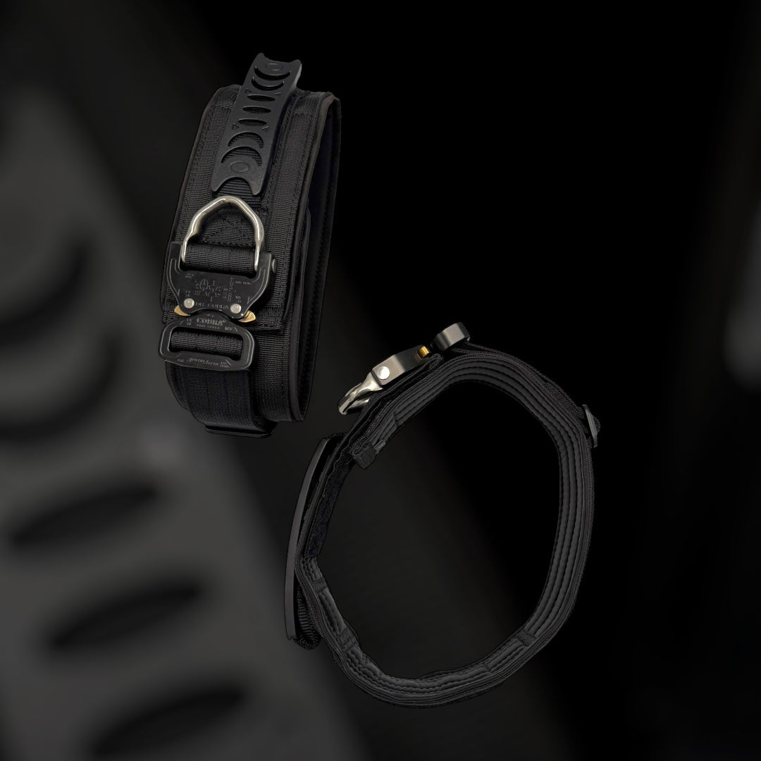 Robustes Halsband mit Cobra