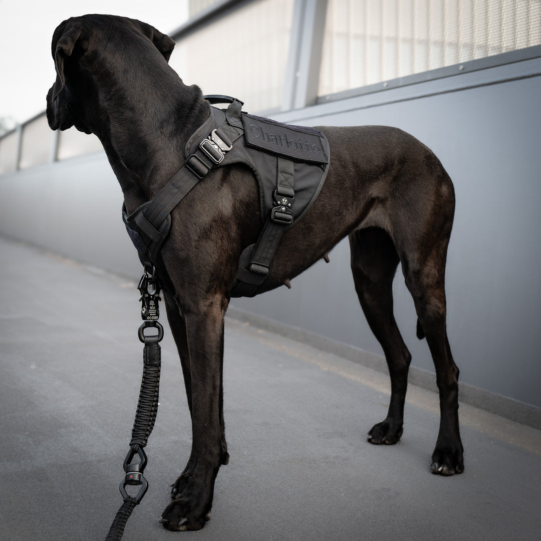 Robustes Hundegeschirr grosse Hunde mit anti zieh Ring extrem stark