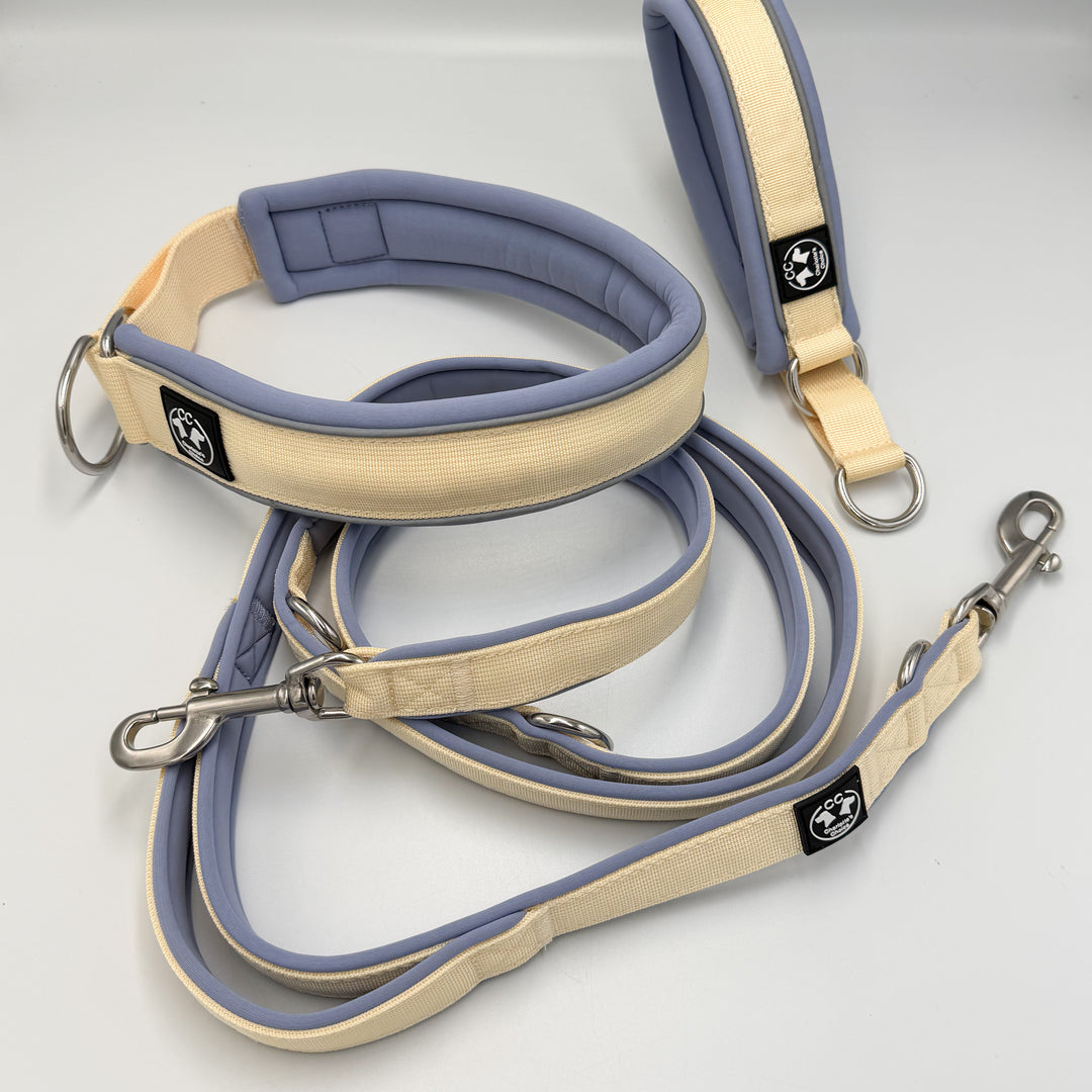 Schlupfhalsband blau weiss mit Leine