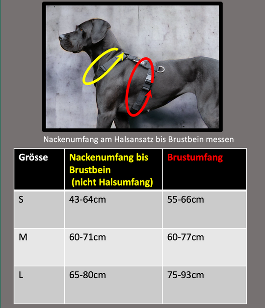 3Point Brustgeschirr On Duty No-Pull Haken