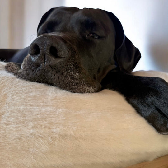 Super weiches Hundebett für grosse Hunde
