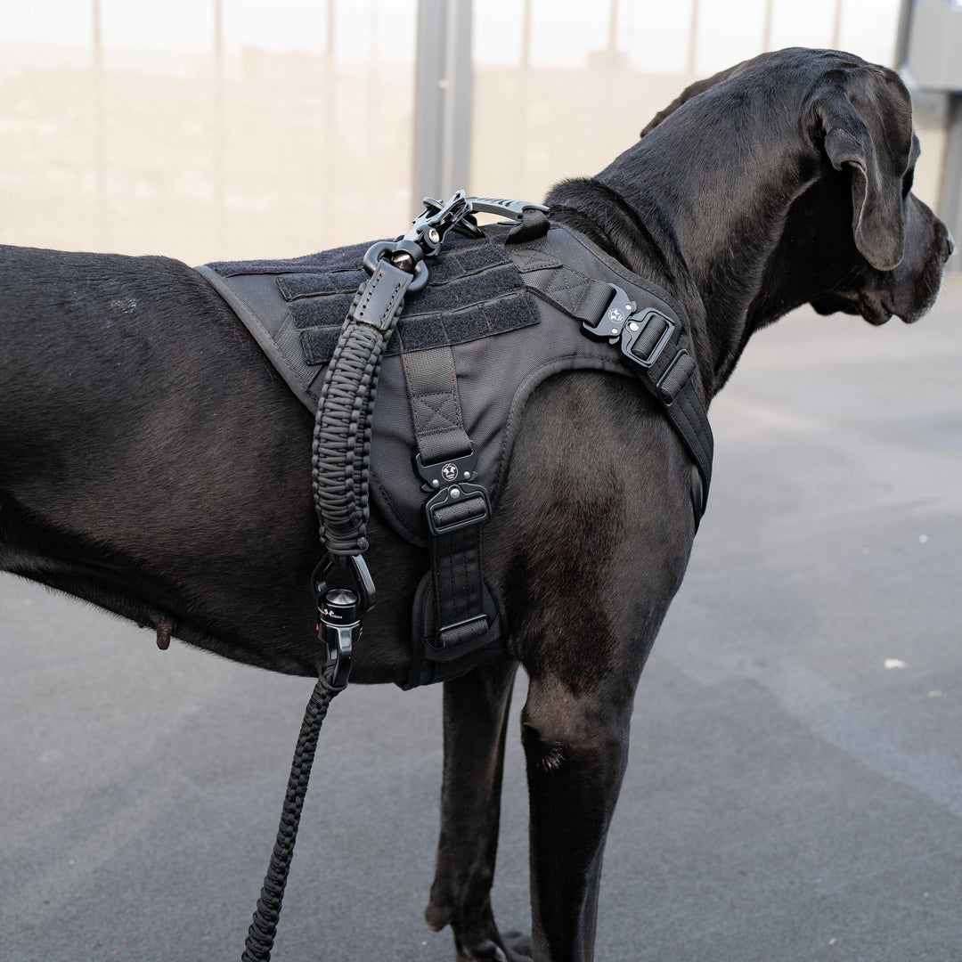 Trainings Geschirr grosse Hunde schwarz gross mit Leine