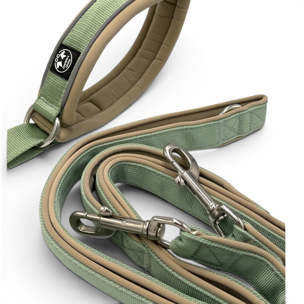 Verstellbare leine grün salbei mit starkem Karabiner für starke Hunde mit Halsband