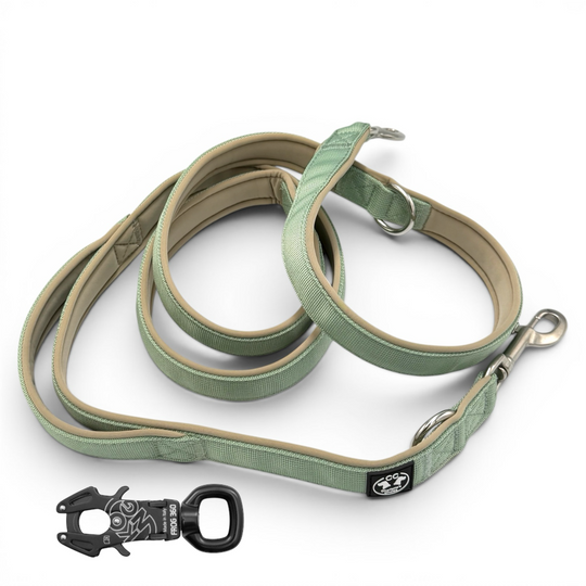 Verstellbare leine grün salbei mit starkem 360 Kong Karabiner