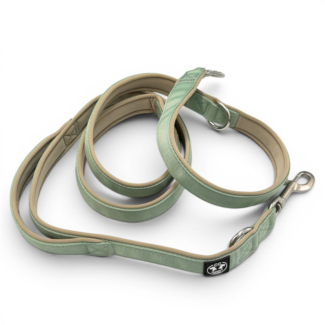 Verstellbare leine grün salbei mit starkem Karabiner für starke Hunde