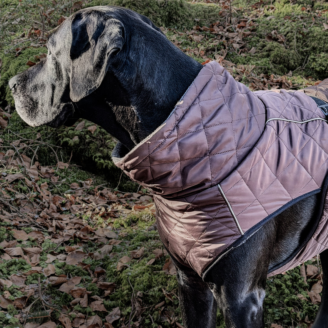 Wintermantel warm für Hunde braun