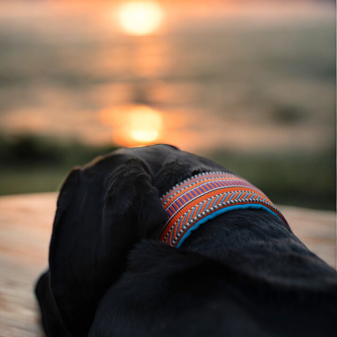 Wunderschönes Halsband für grosse Hunde