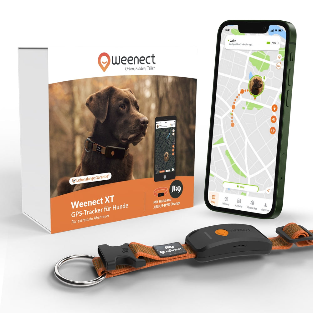 GPS tracker für Hunde