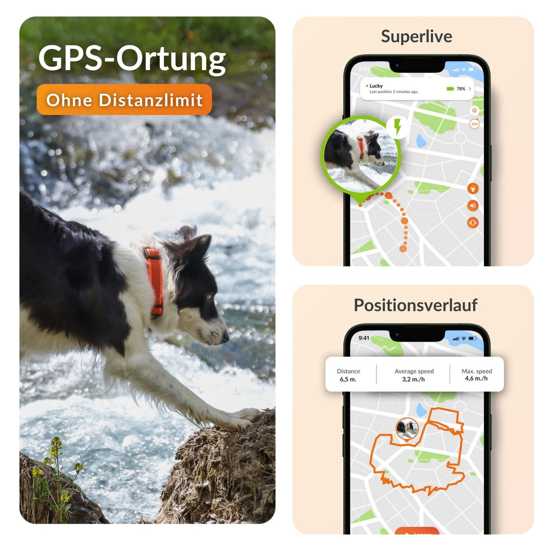 GPS tracker für Hunde