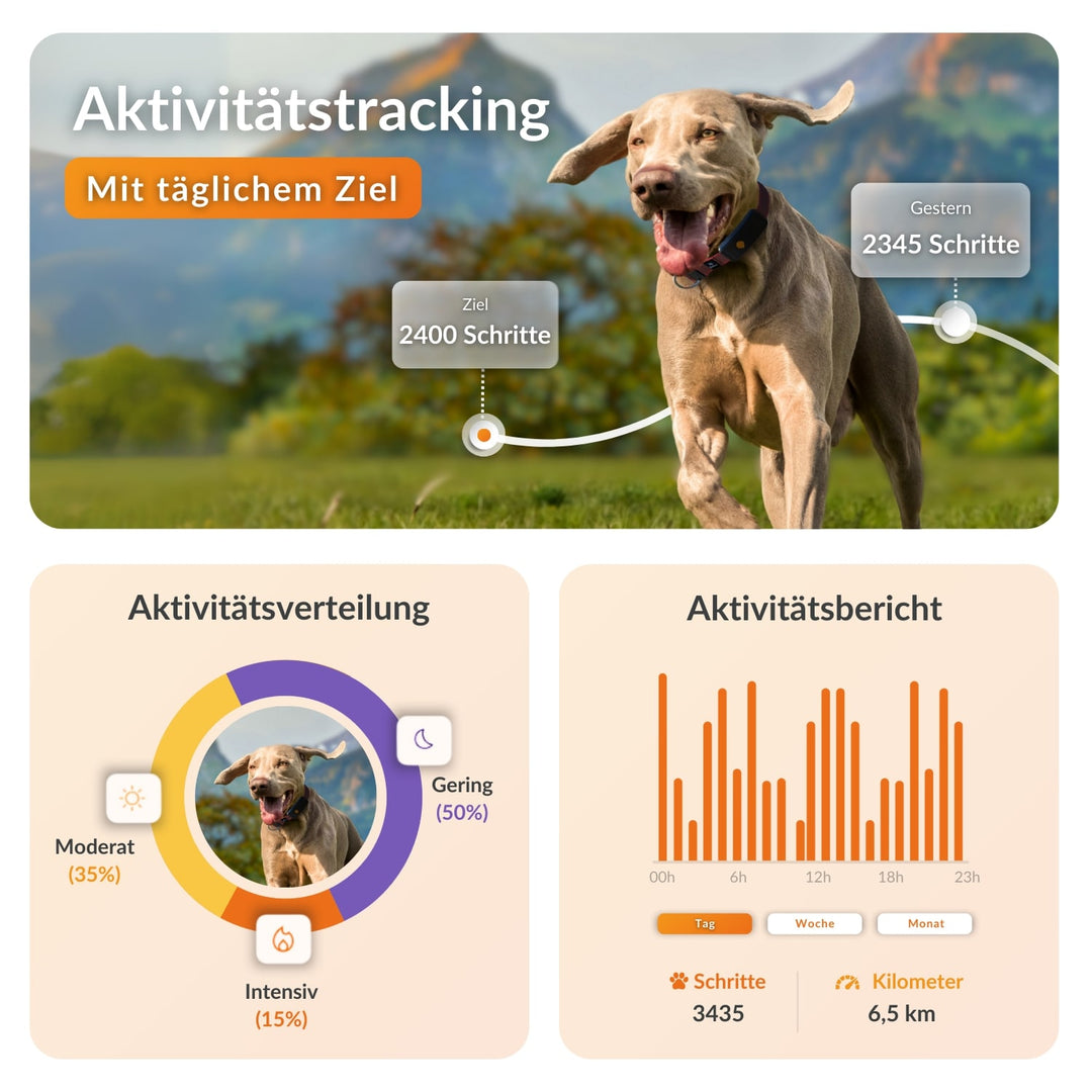 GPS tracker für Hunde