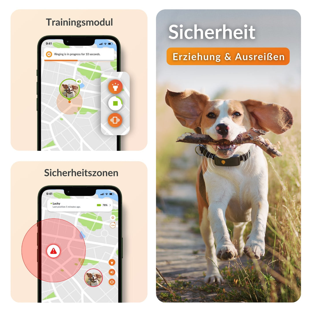 GPS tracker für Hunde
