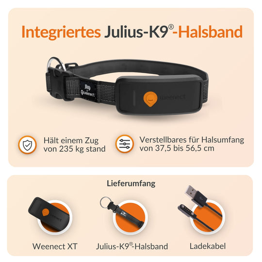 GPS tracker für Hunde