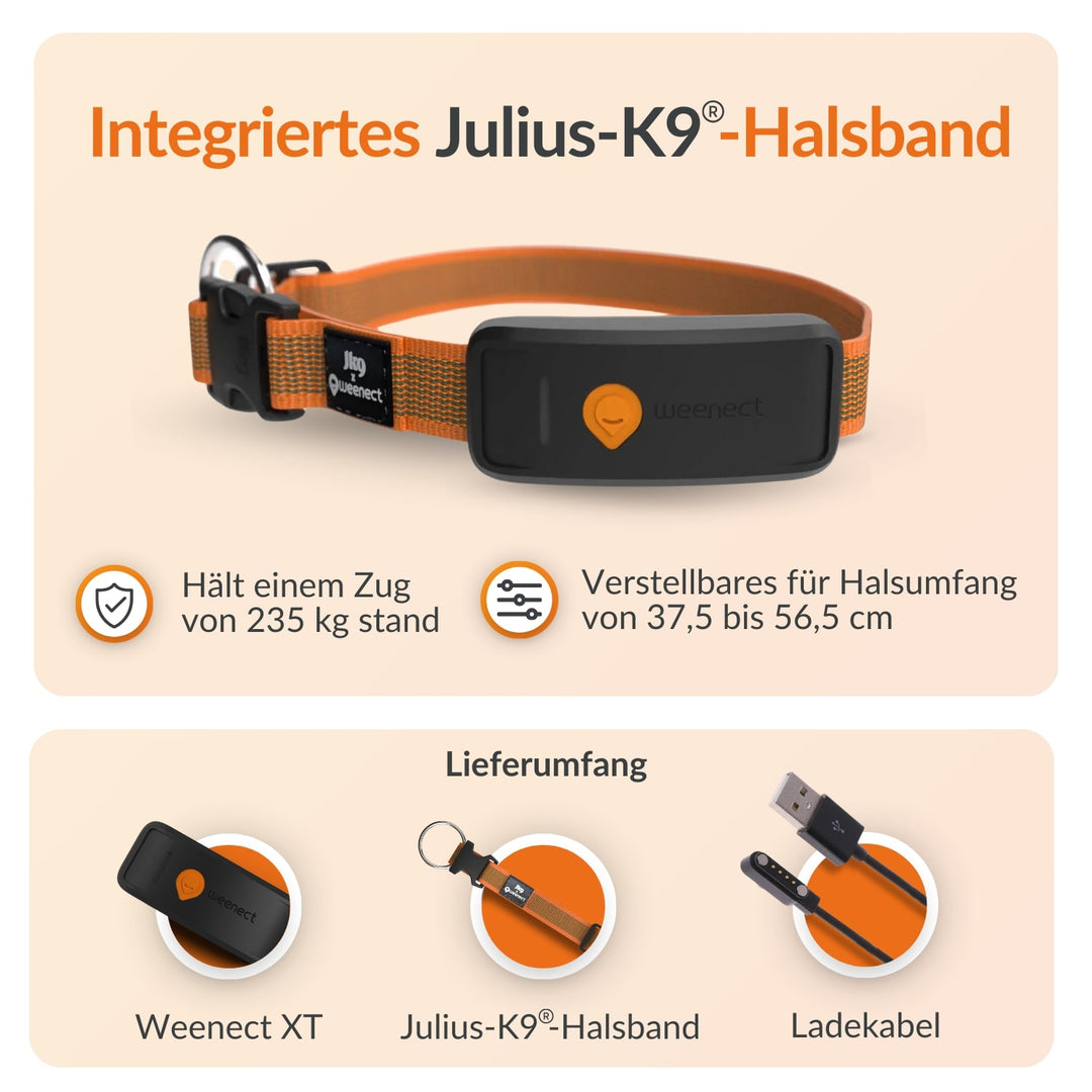 GPS tracker für Hunde