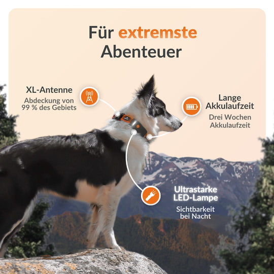 GPS Weenect Tracker XT for dogs