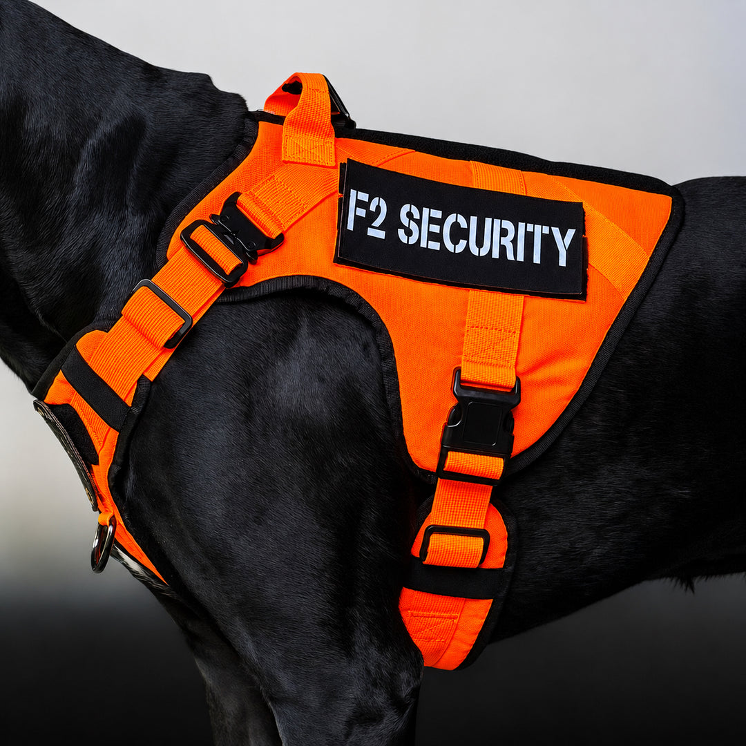 dog harness neon orange