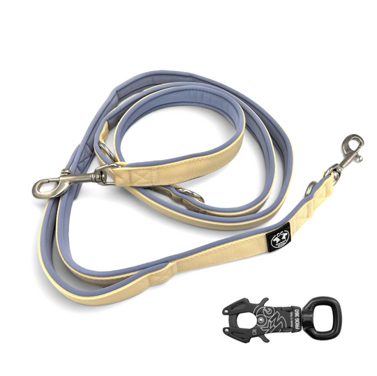 Adjustable <tc>leash</tc> 2.20 m steel blue ivory fully upholstered