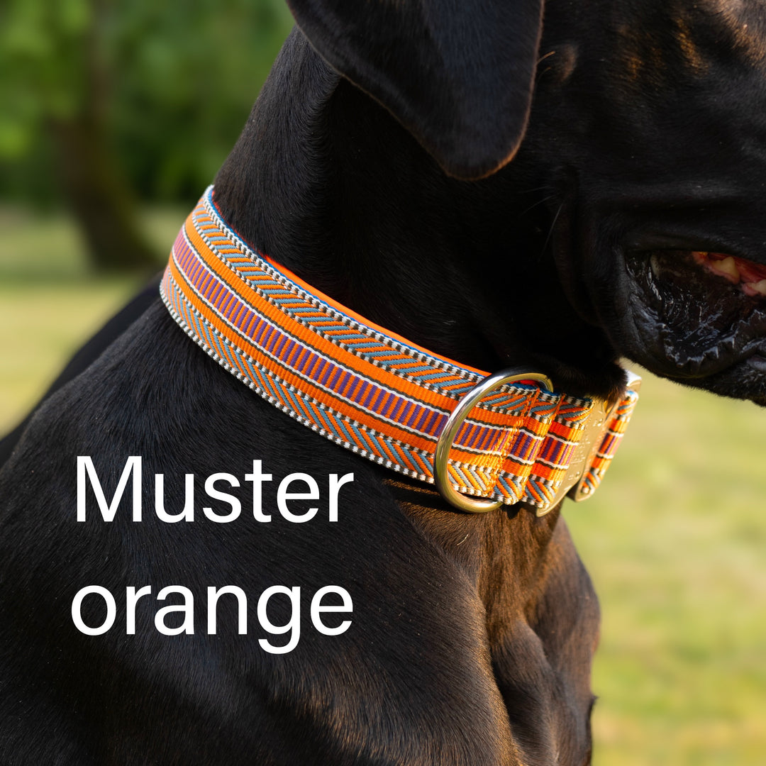 farbige Halsbänder mit orange und Cobra Schnalle