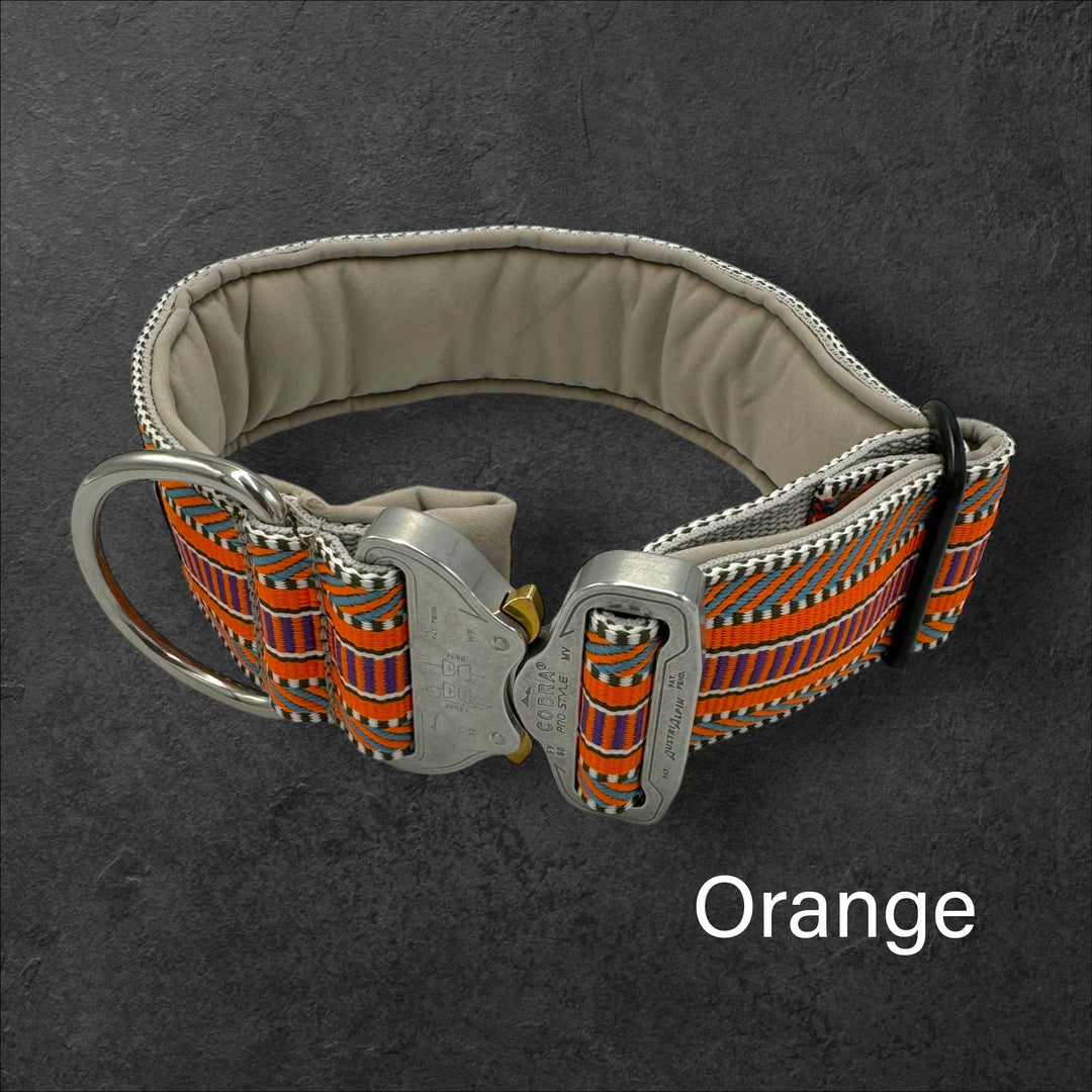 farbige Halsbänder mit orange und Cobra Schnalle