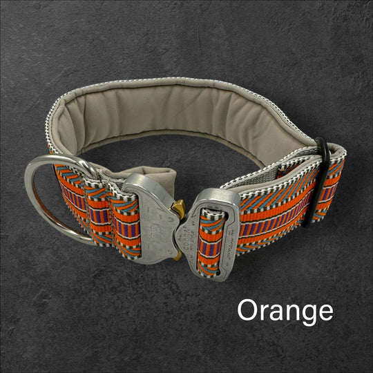 farbige Halsbänder mit orange und Cobra Schnalle