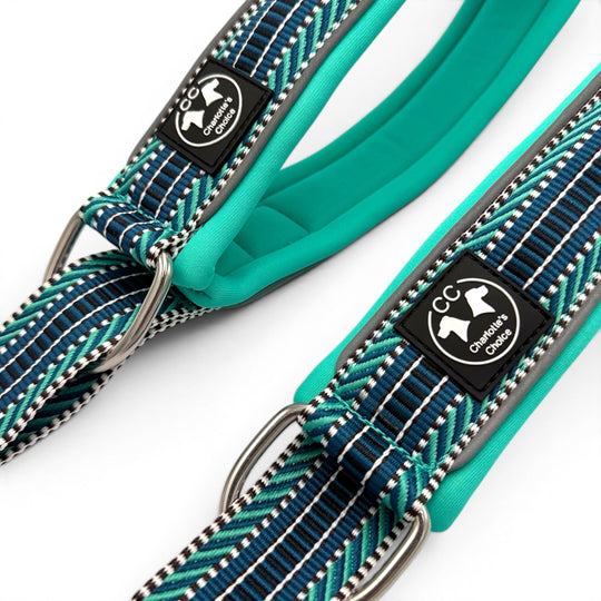 hübsche Halsband türkis gepolstert