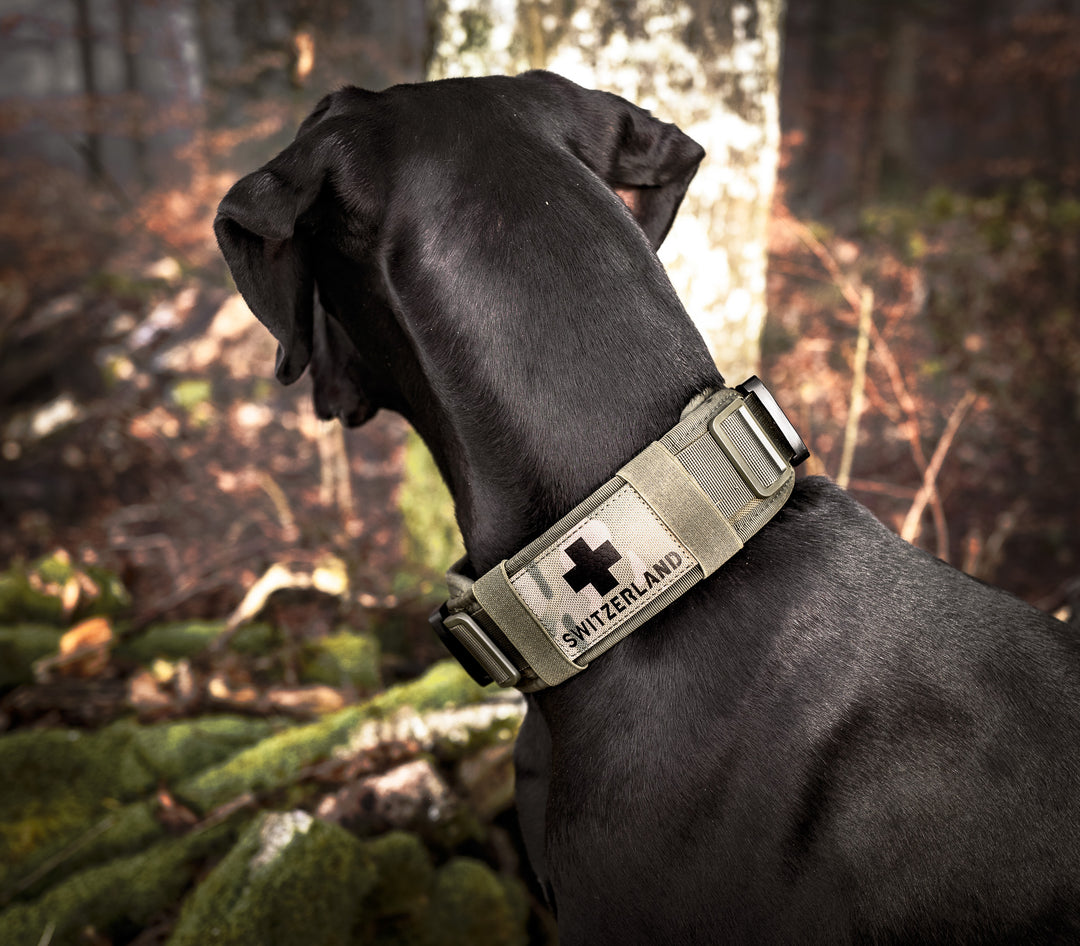 halsband breit 7 cm sehr grosse starke Hunde