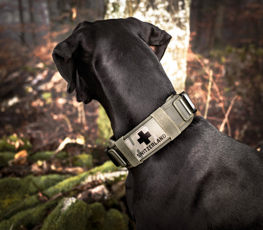 halsband breit 7 cm sehr grosse starke Hunde