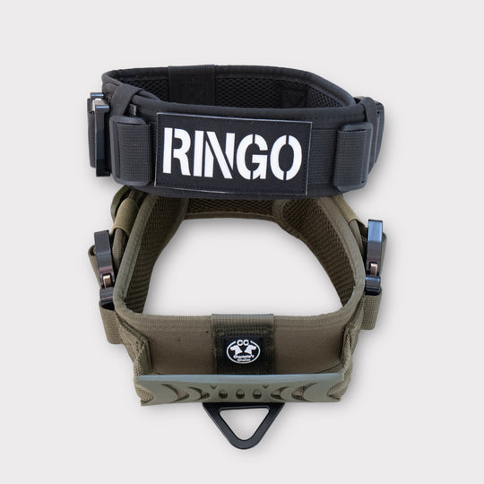 halsband reflektierend und leuchtend