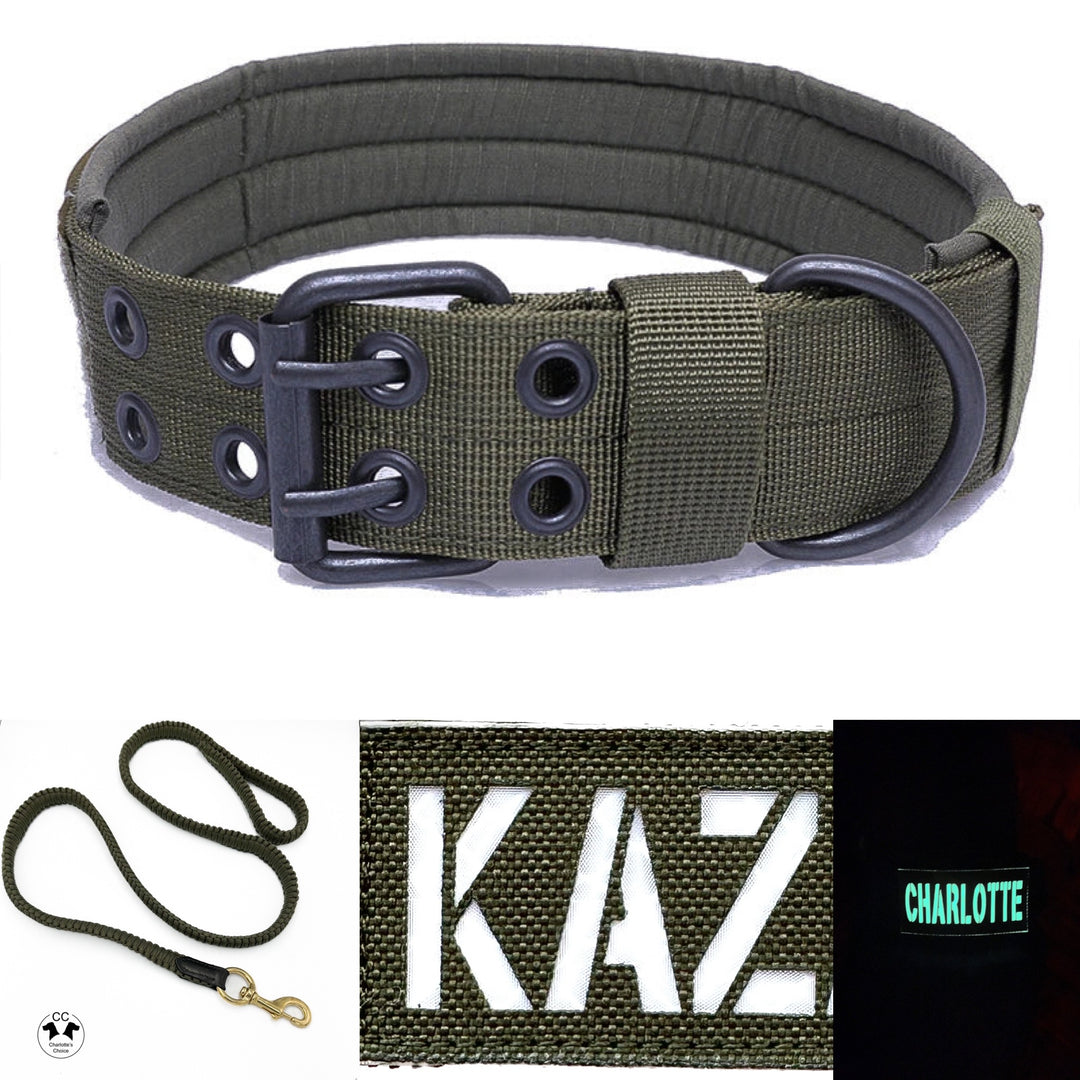 Army Set: Workdog Halsband, Paracord Leine und Namenpatch (34cm-63cm)