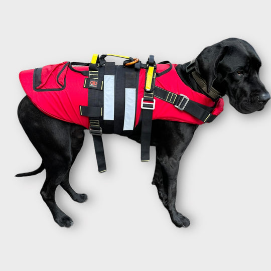 Profi-Schwimmweste für Rettungshunde von Kong Italy/ALP Design