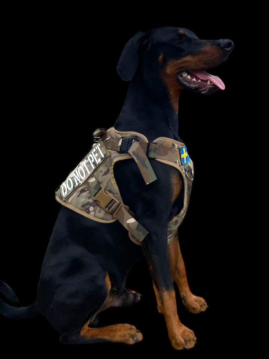 Alltrail CC-K9 FrontClip dog harness for large dogs - camouflage