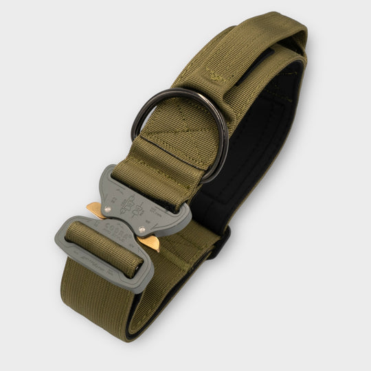 On Duty Cobra Haltegriff Halsband 5 cm für grosse Hunde (46 cm-78 cm) - army-grün, Schnalle army-grün oder silber