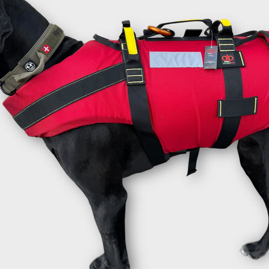 Gilet de sauvetage professionnel pour chiens de sauvetage de Kong Italie/ALP Design