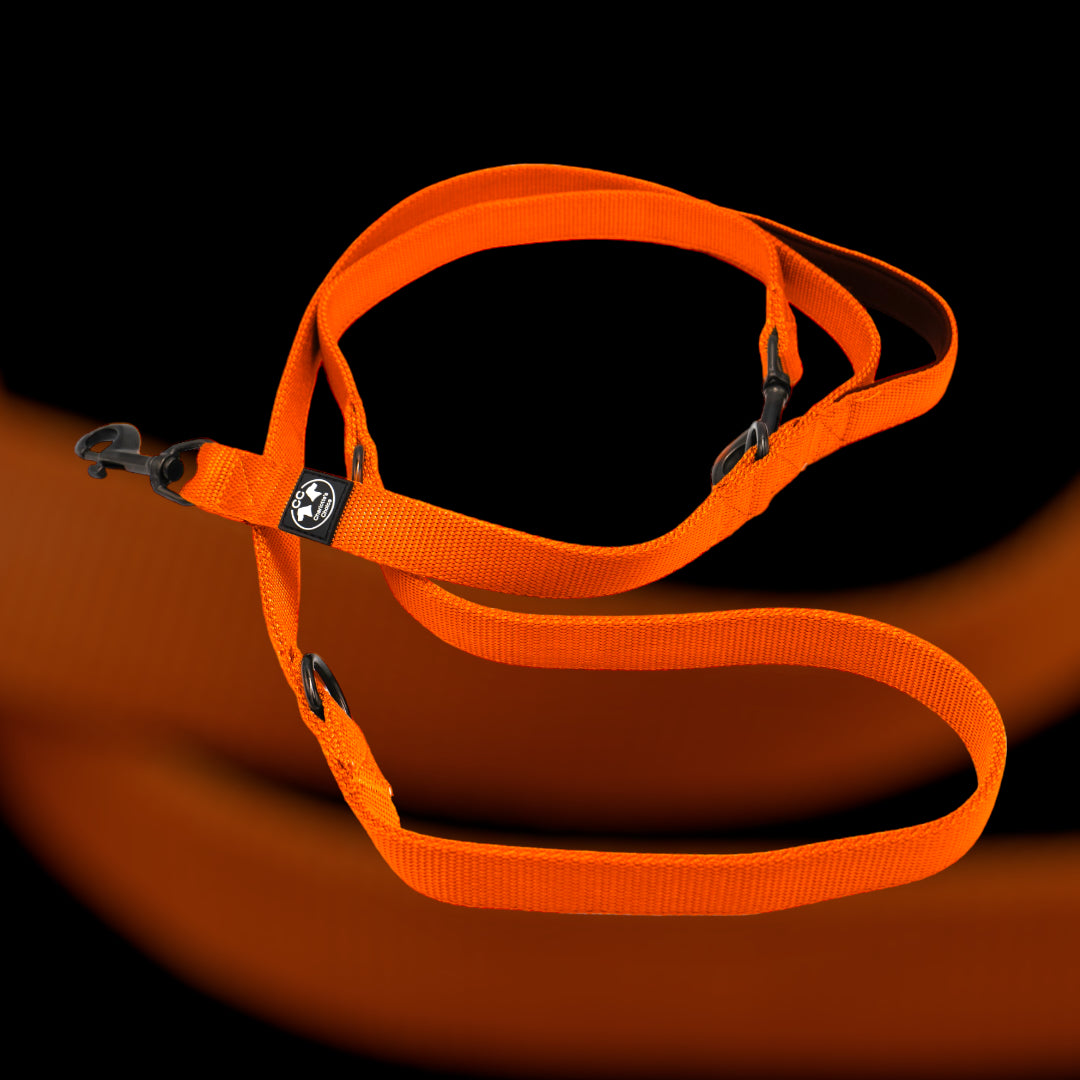 On Duty Leine 2.5cm breit 2.2m neon orange verstellbar mit Karabiner oder 360 Frog