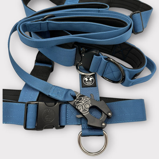 On Duty Cobra collier à poignée bleu tourterelle 5cm pour grands chiens (46cm-78cm)