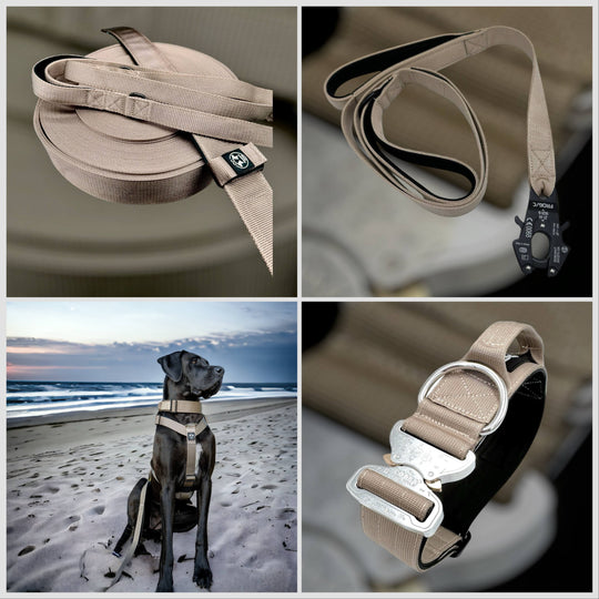 On Duty Cobra Haltegriff Halsband 5cm für grosse Hunde (46cm-78cm) -Sand, Schnalle silber/schwarz