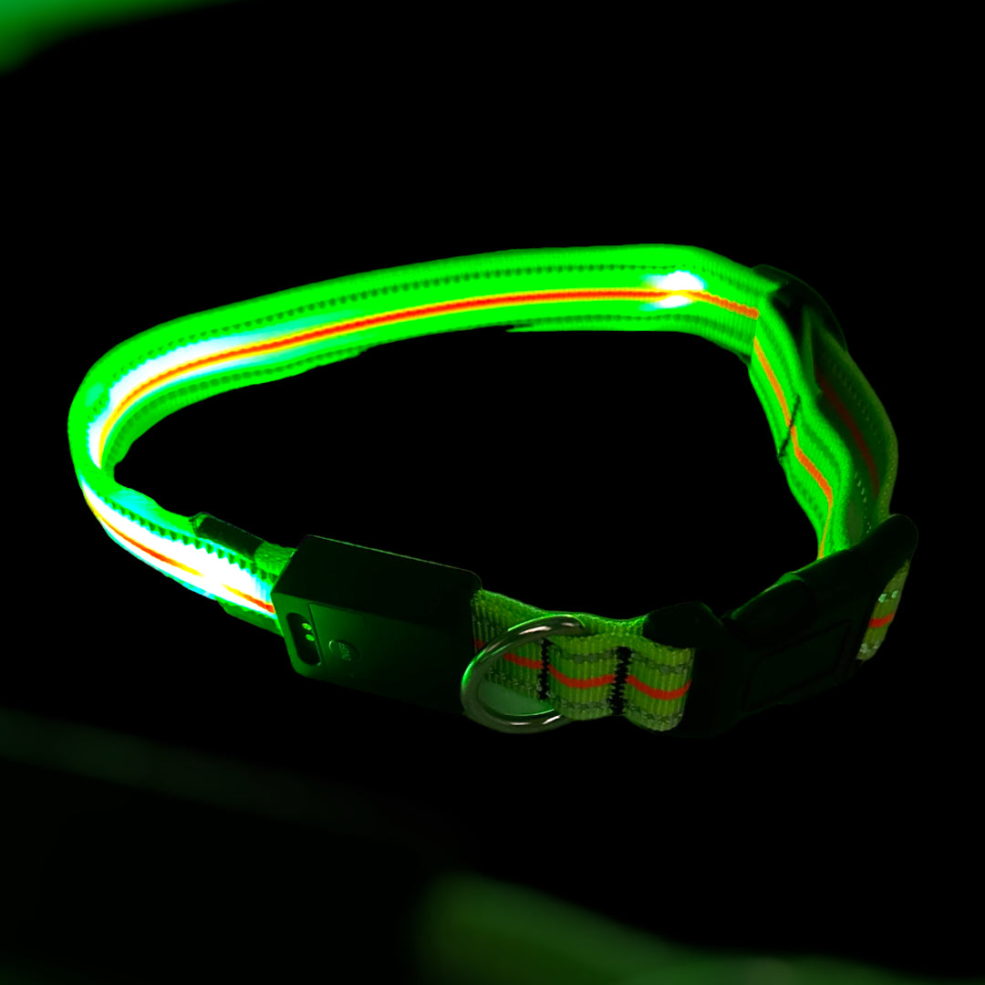 Leuchthalsband LED mit Akku (32cm-64cm) neon grün