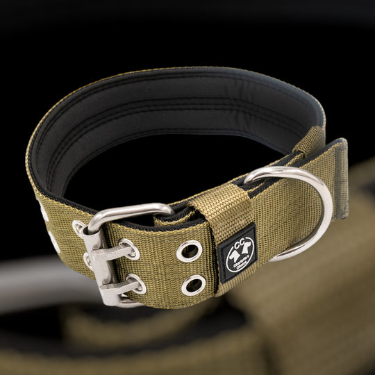 Ringo Halsband 5cm breit (38 cm-71 cm) - army-grün
