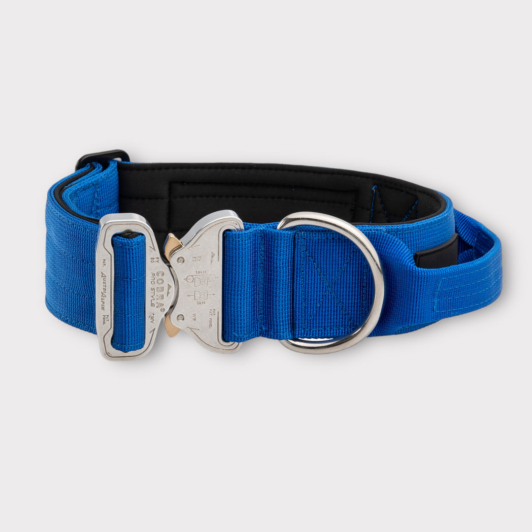 SALE % On Duty Cobra Haltegriff Halsband 5 cm für grosse Hunde (48 cm-52 cm)