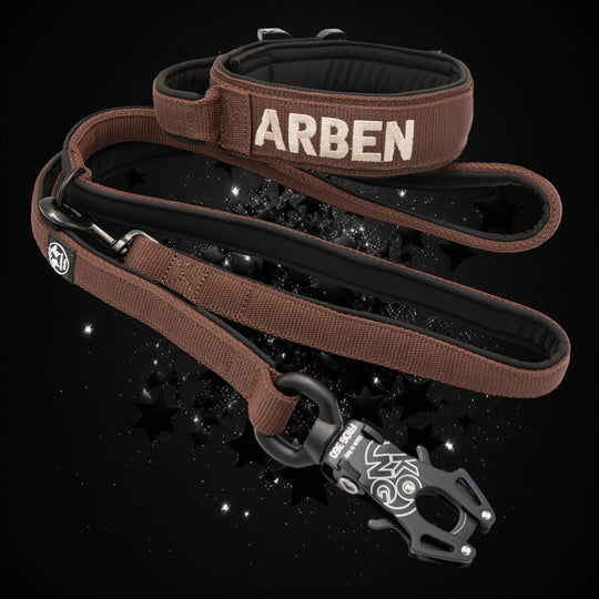 2.5 cm <tc>leash</tc> personalized with standard carabiner, Frog Cable or Frog 360