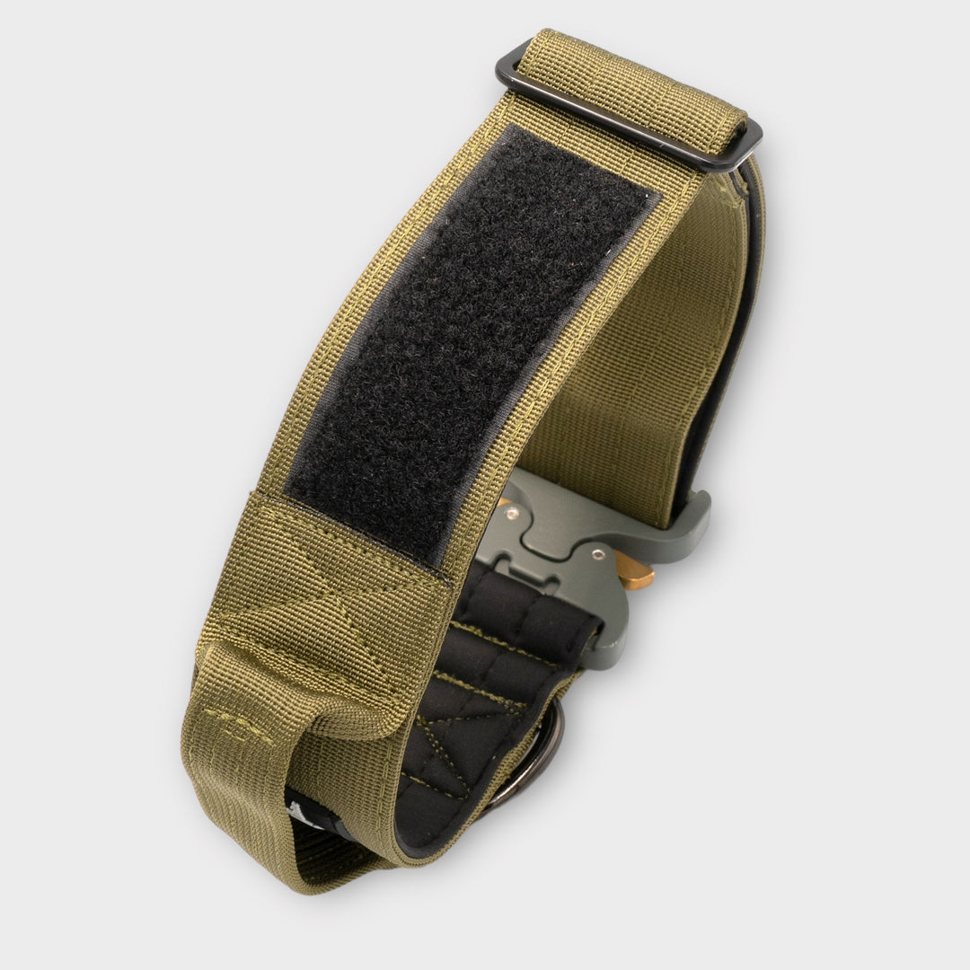 On Duty Cobra Haltegriff Halsband 5 cm für grosse Hunde (46 cm-78 cm) - army-grün, Schnalle army-grün oder silber