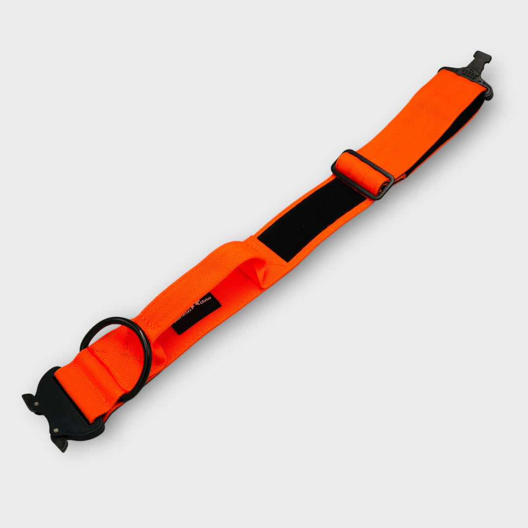 Collier à poignée On Duty Cobra 5cm pour grands chiens (46cm-78cm) - orange fluo, boucle noire