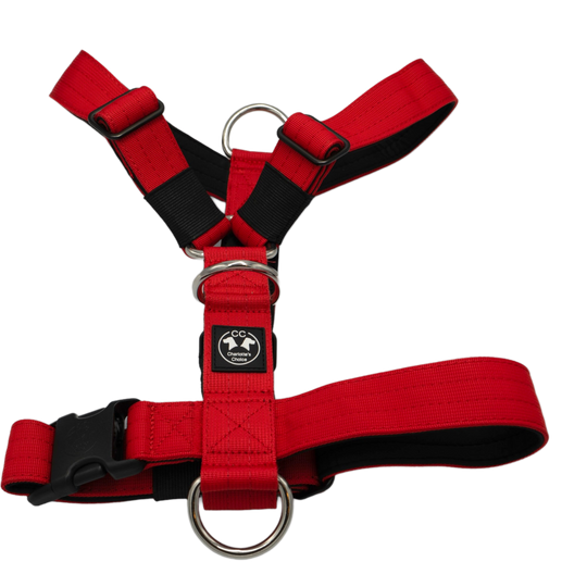 3Point Chest Harness <tc>On Duty</tc> No-Pull Hook Size S Chest circumference 55-66 cm