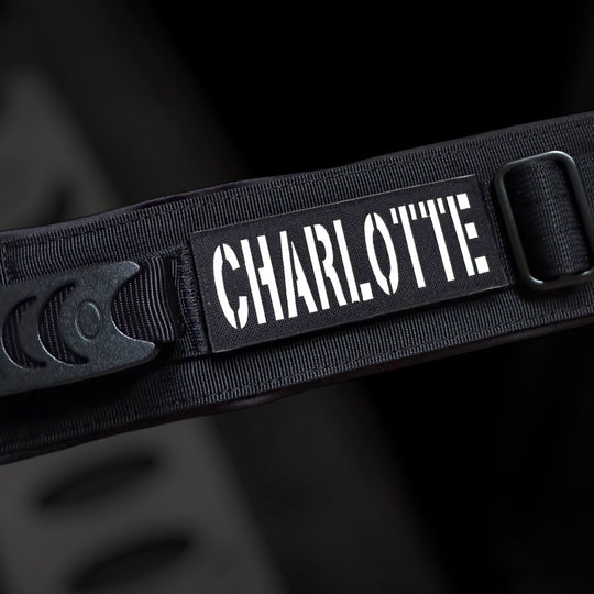 sehr breites starkes Halsband mit Magnetgriff robust mit Namen