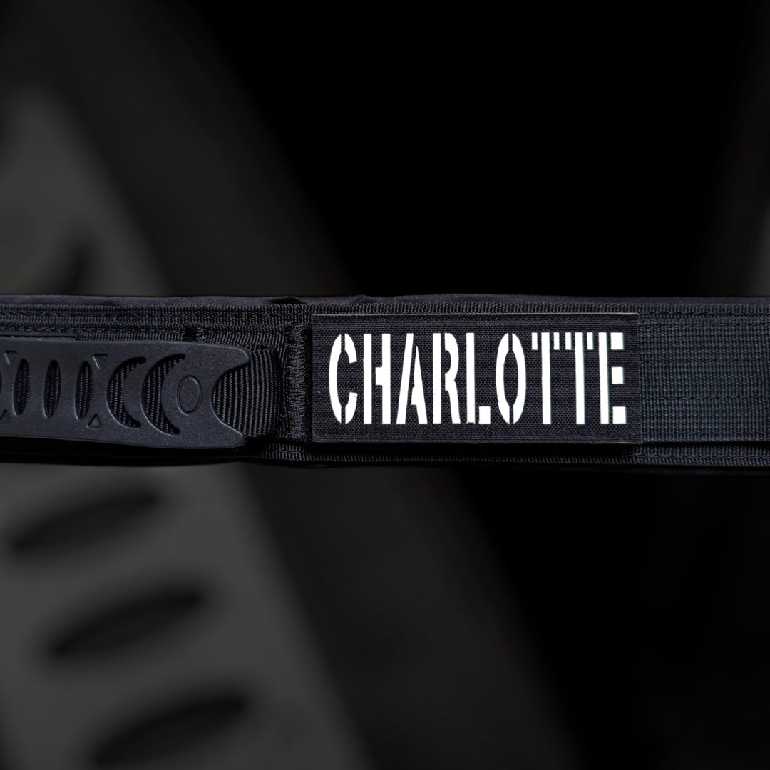 sehr breites starkes Halsband mit Magnetgriff robust mit Namen