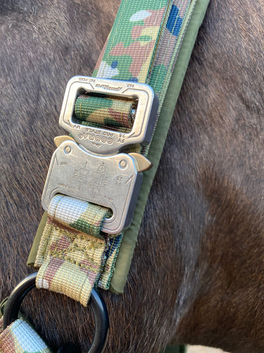 Halfter für Pferde mit Cobra Schnalle von Austrialpin in camouflage