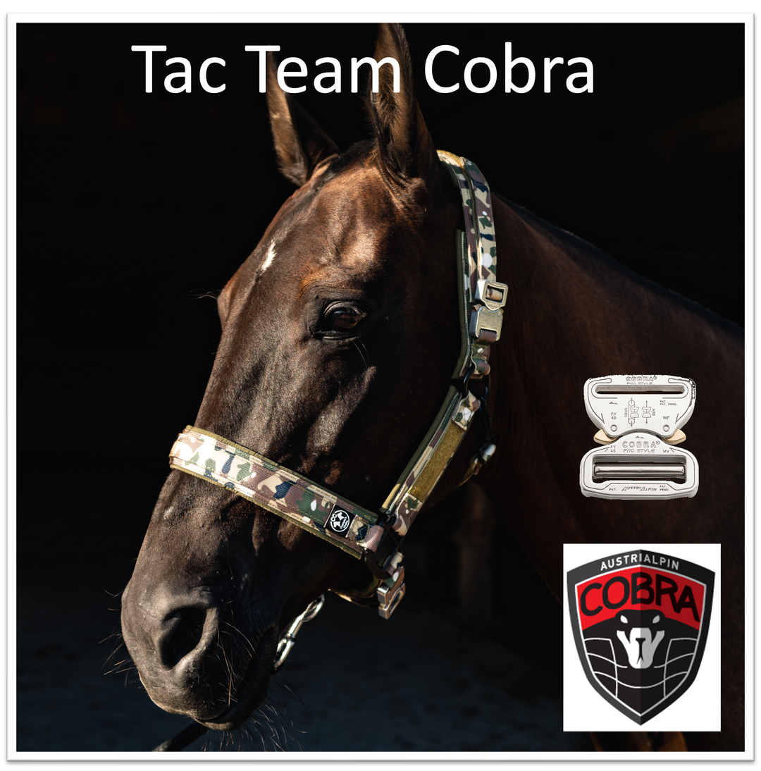 Tac Team Cobra Halfter mit Namenpatches camouflage